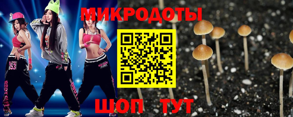 Галлюциногенные грибы прущие грибы Зеленогорск